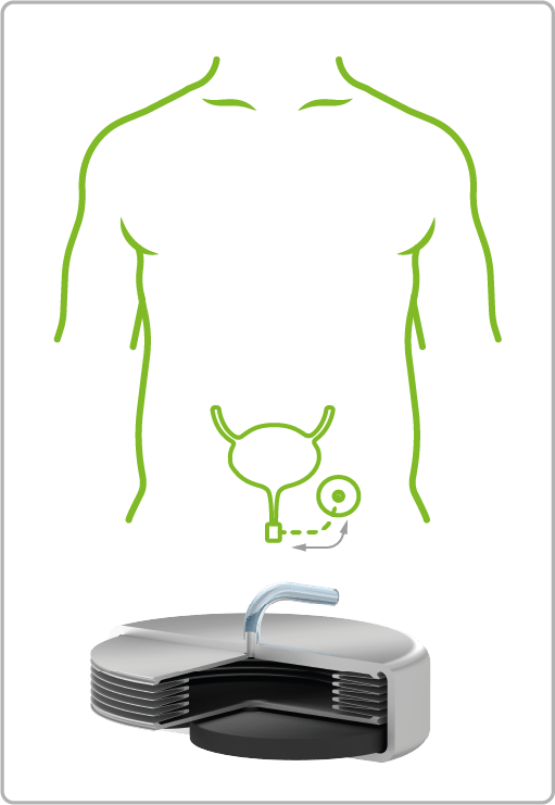 Urinary
